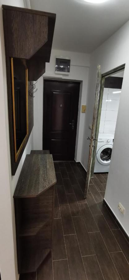 Appartement Mara Park à Baia Mare Extérieur photo